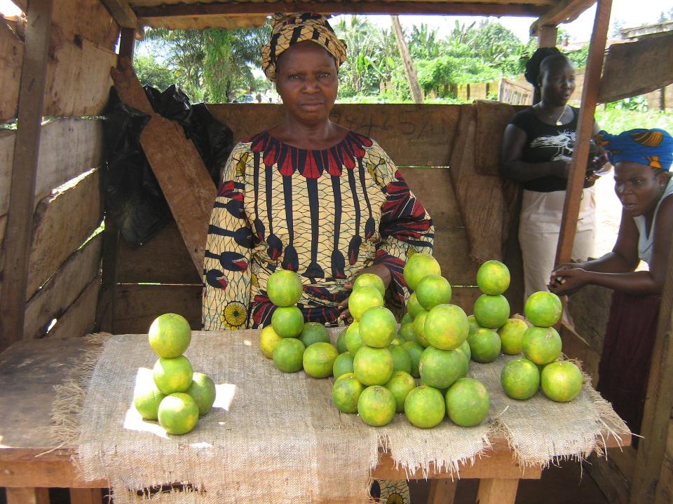 Borrower image