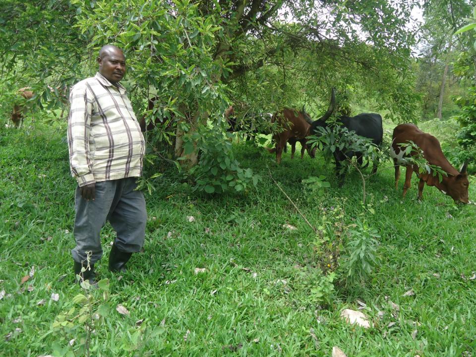 Borrower image