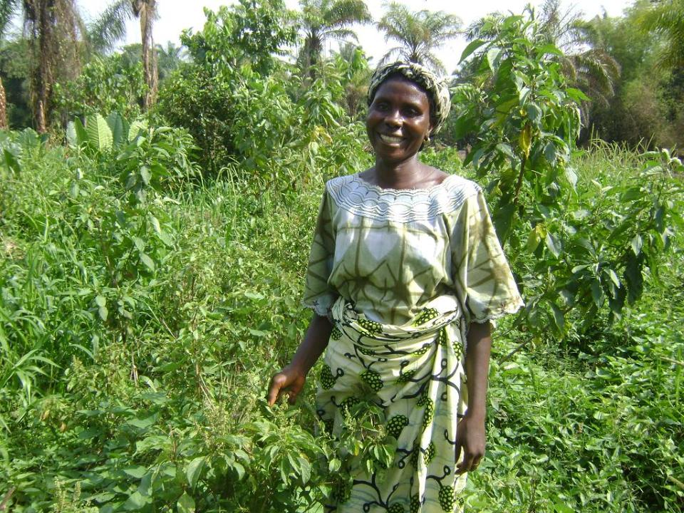 Borrower image