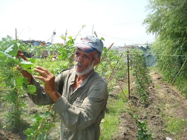 Borrower image