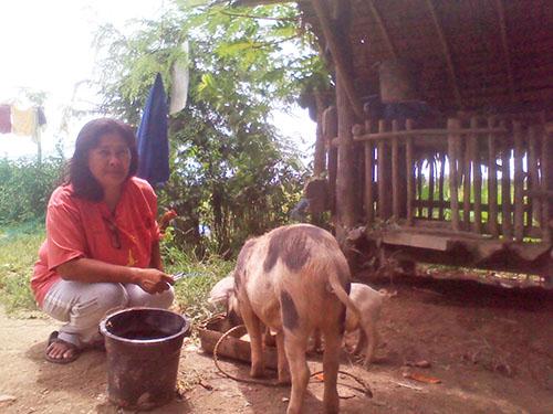 Borrower image