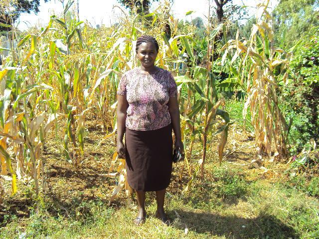 Borrower image