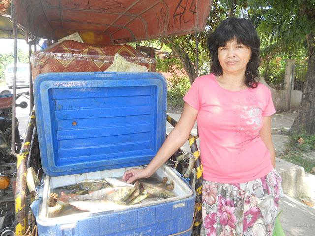 Borrower image