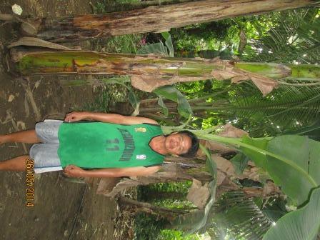 Borrower image