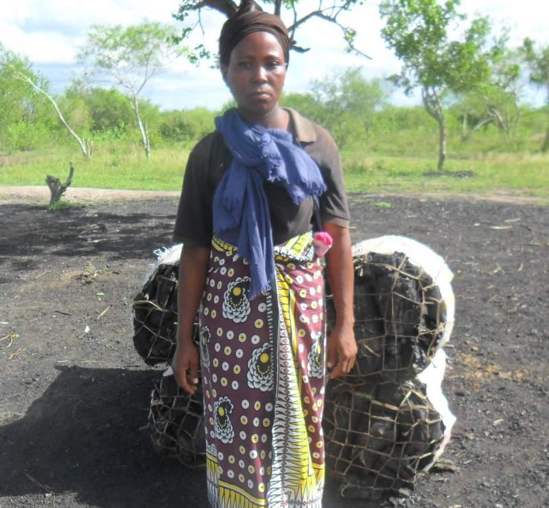 Borrower image