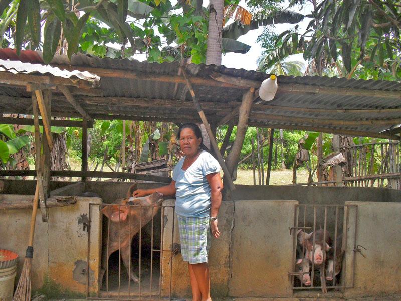 Borrower image