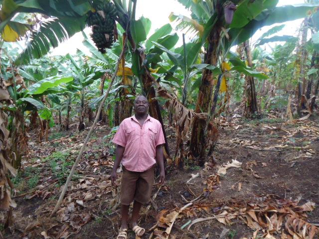 Borrower image
