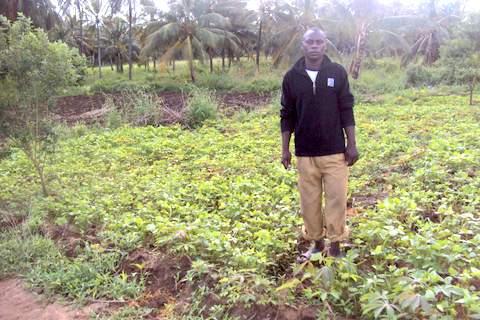 Borrower image