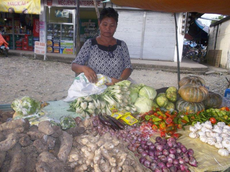 Borrower image