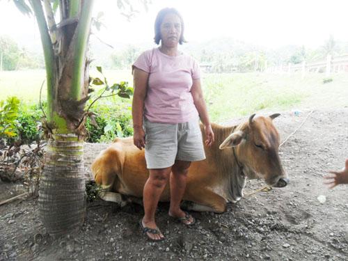 Borrower image