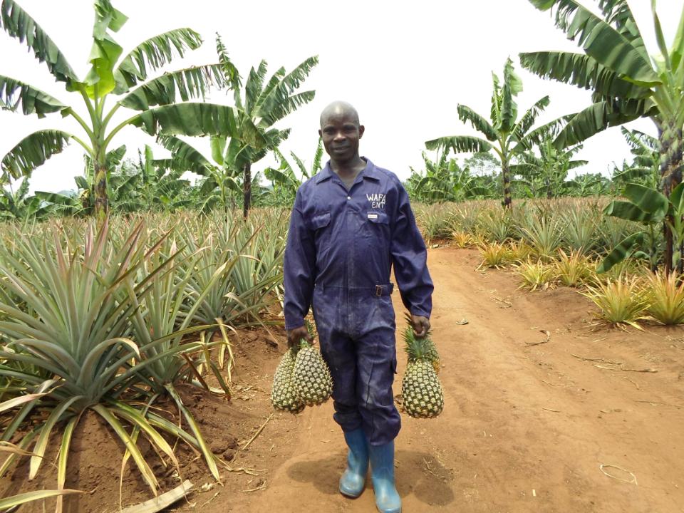 Borrower image