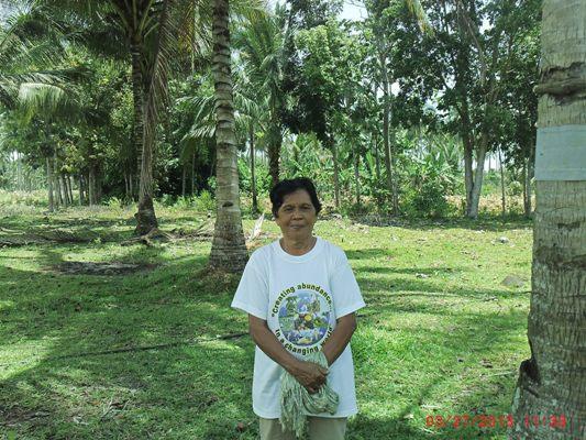 Borrower image