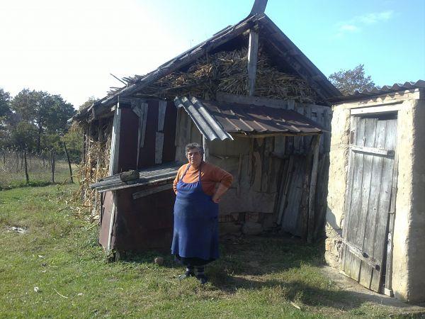 Borrower image