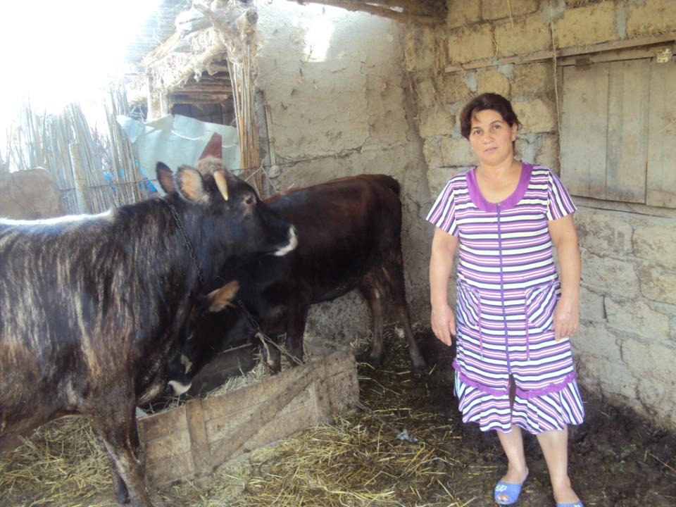 Borrower image