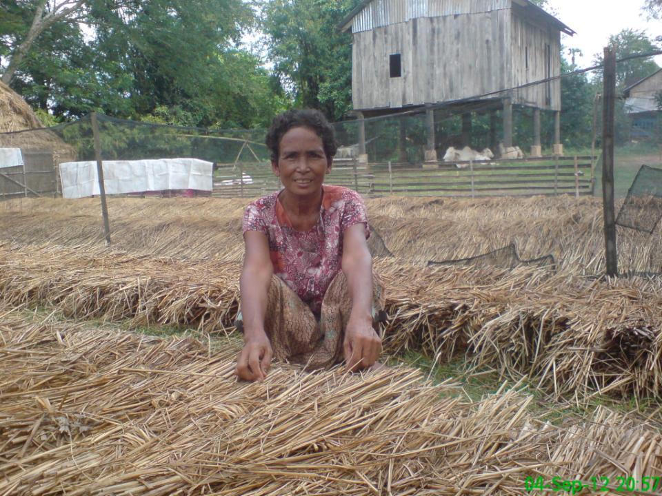 Borrower image