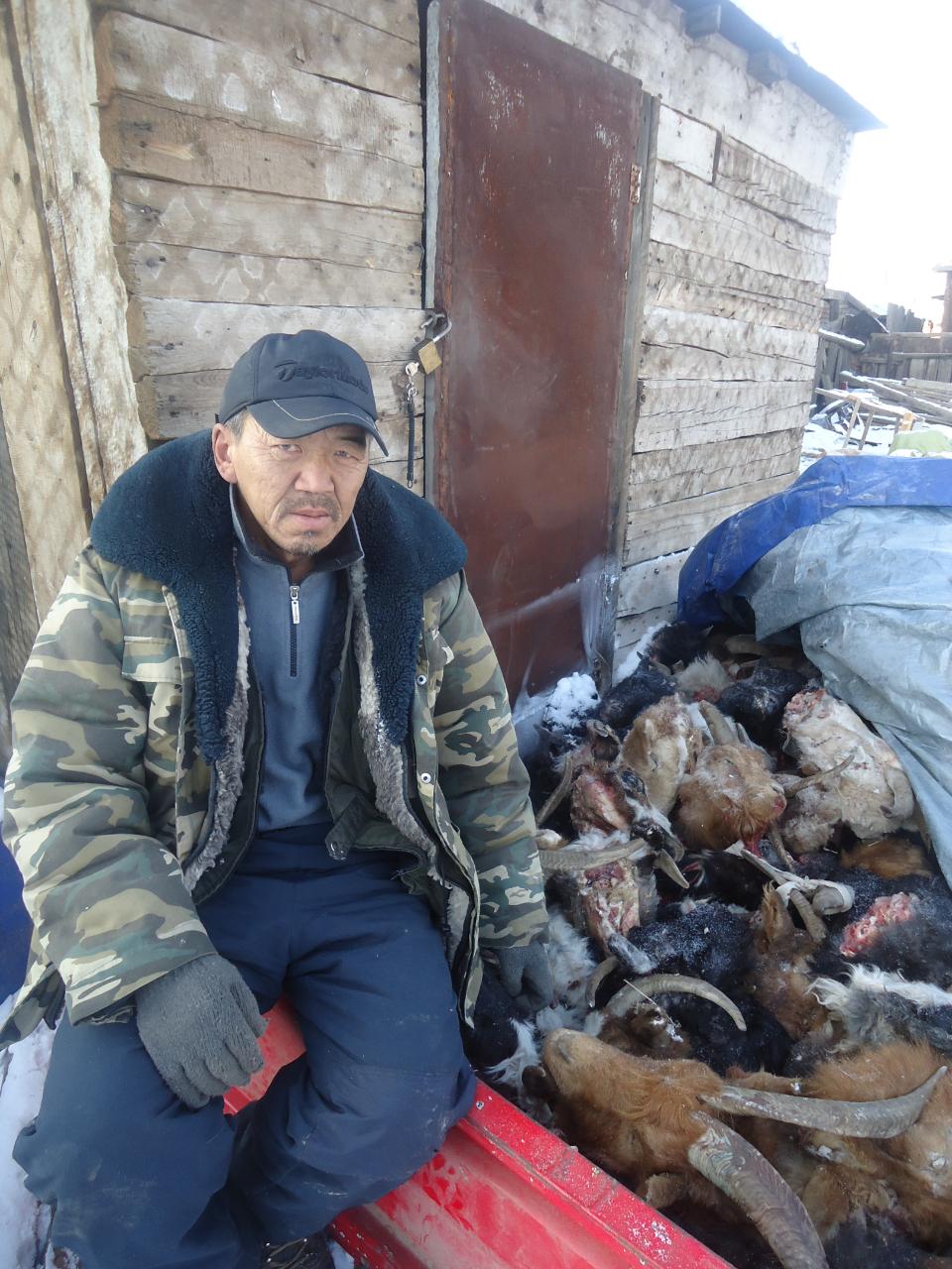 Borrower image