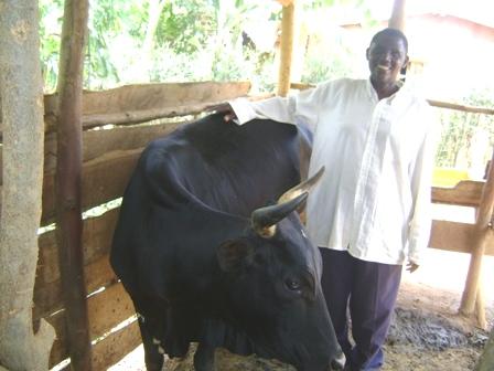 Borrower image