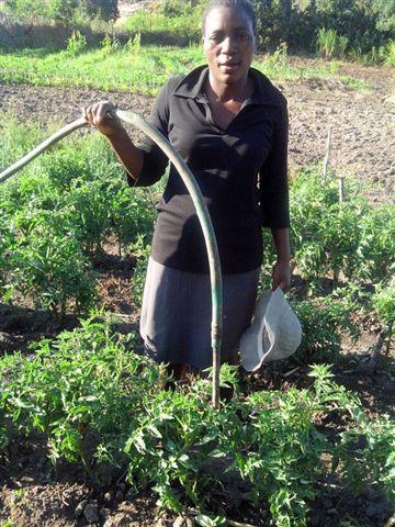 Borrower image