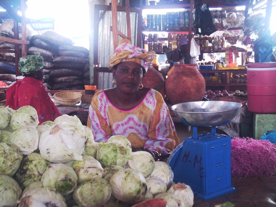 Borrower image