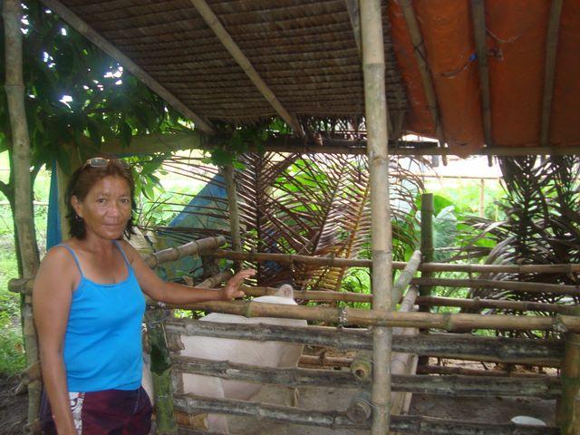 Borrower image