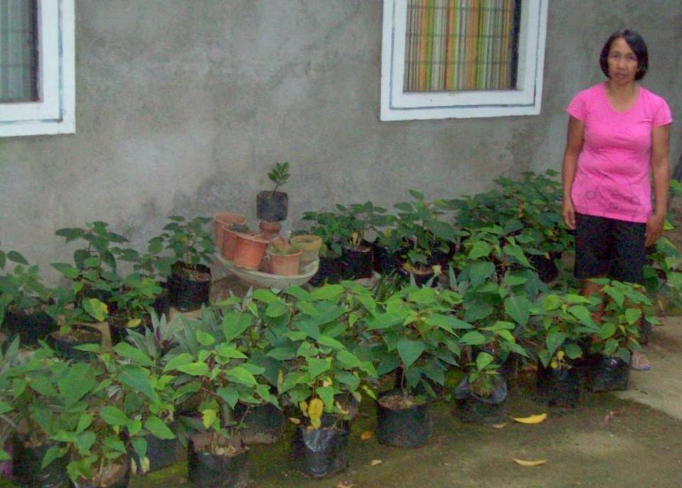 Borrower image