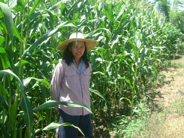 Borrower image