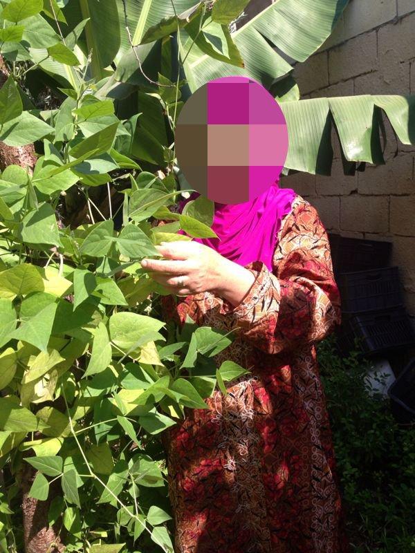 Borrower image