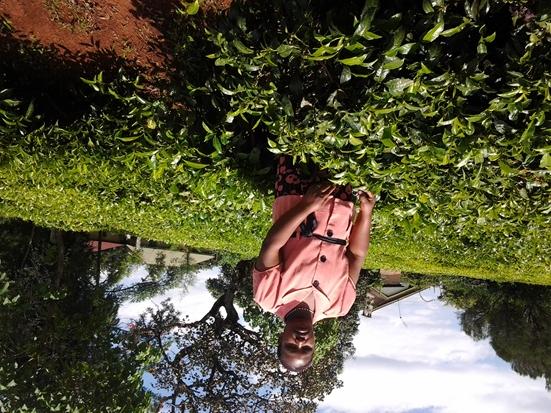 Borrower image