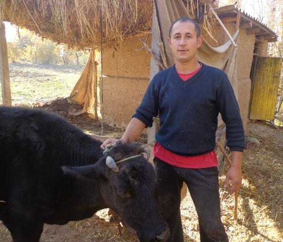 Borrower image