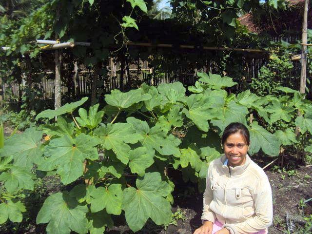 Borrower image