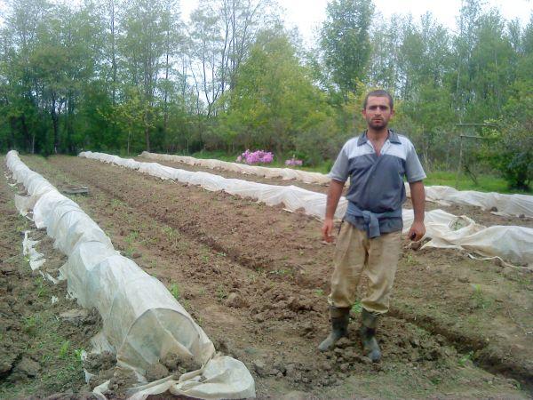Borrower image