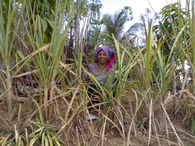 Borrower image