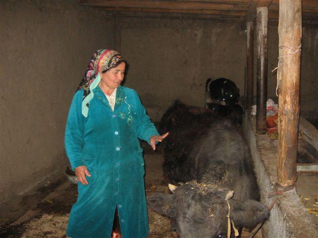 Borrower image
