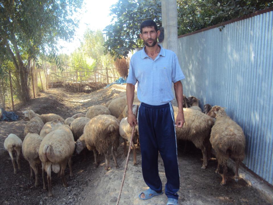 Borrower image