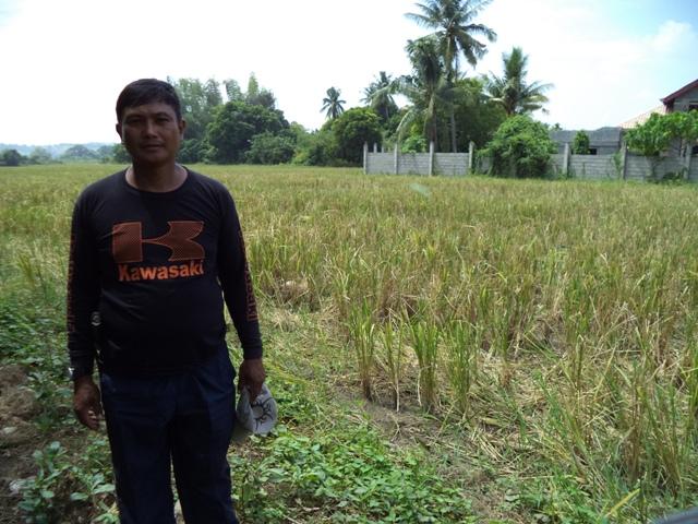 Borrower image