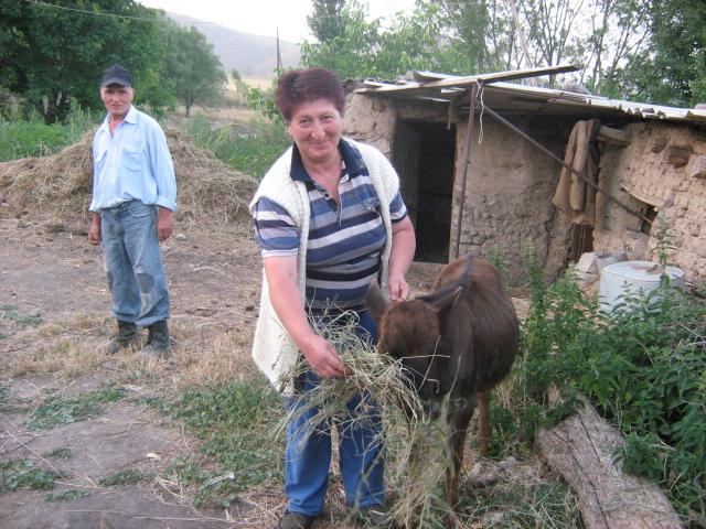 Borrower image
