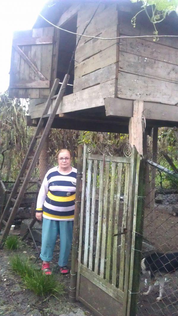 Borrower image