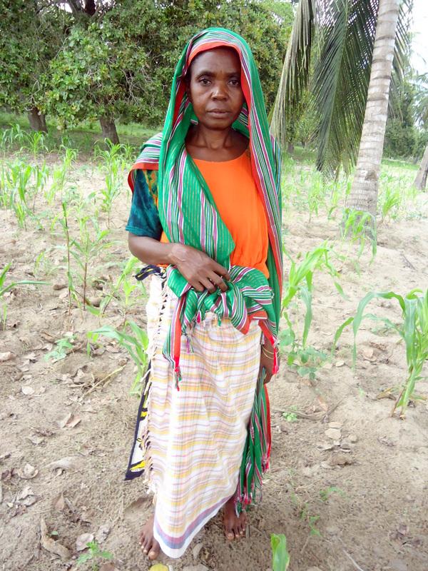 Borrower image