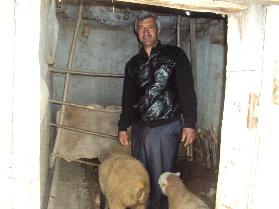 Borrower image