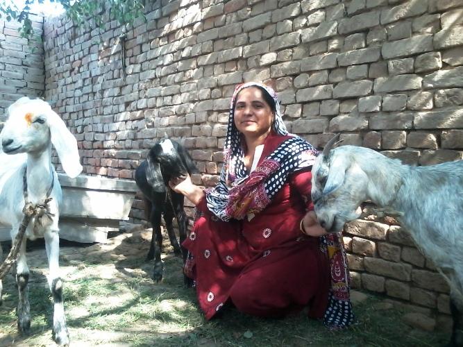 Borrower image