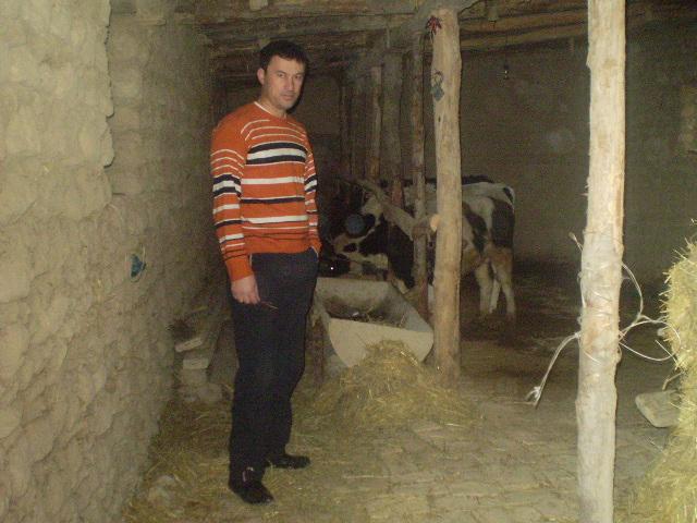 Borrower image
