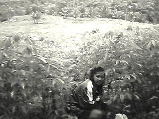 Borrower image