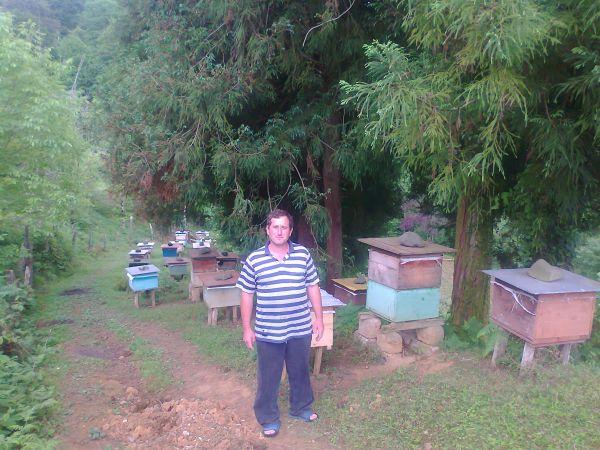 Borrower image