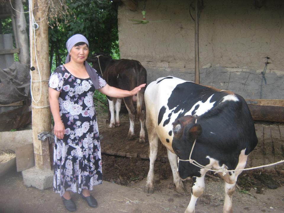 Borrower image
