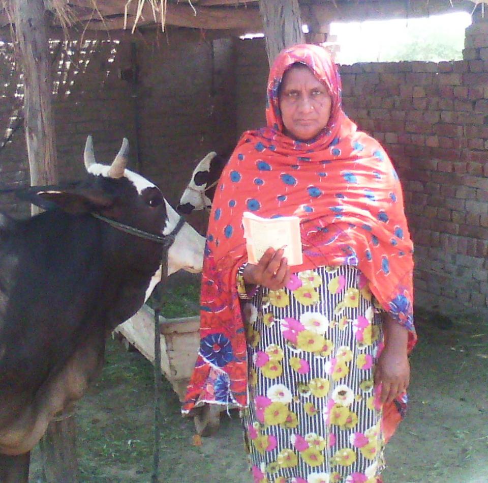 Borrower image
