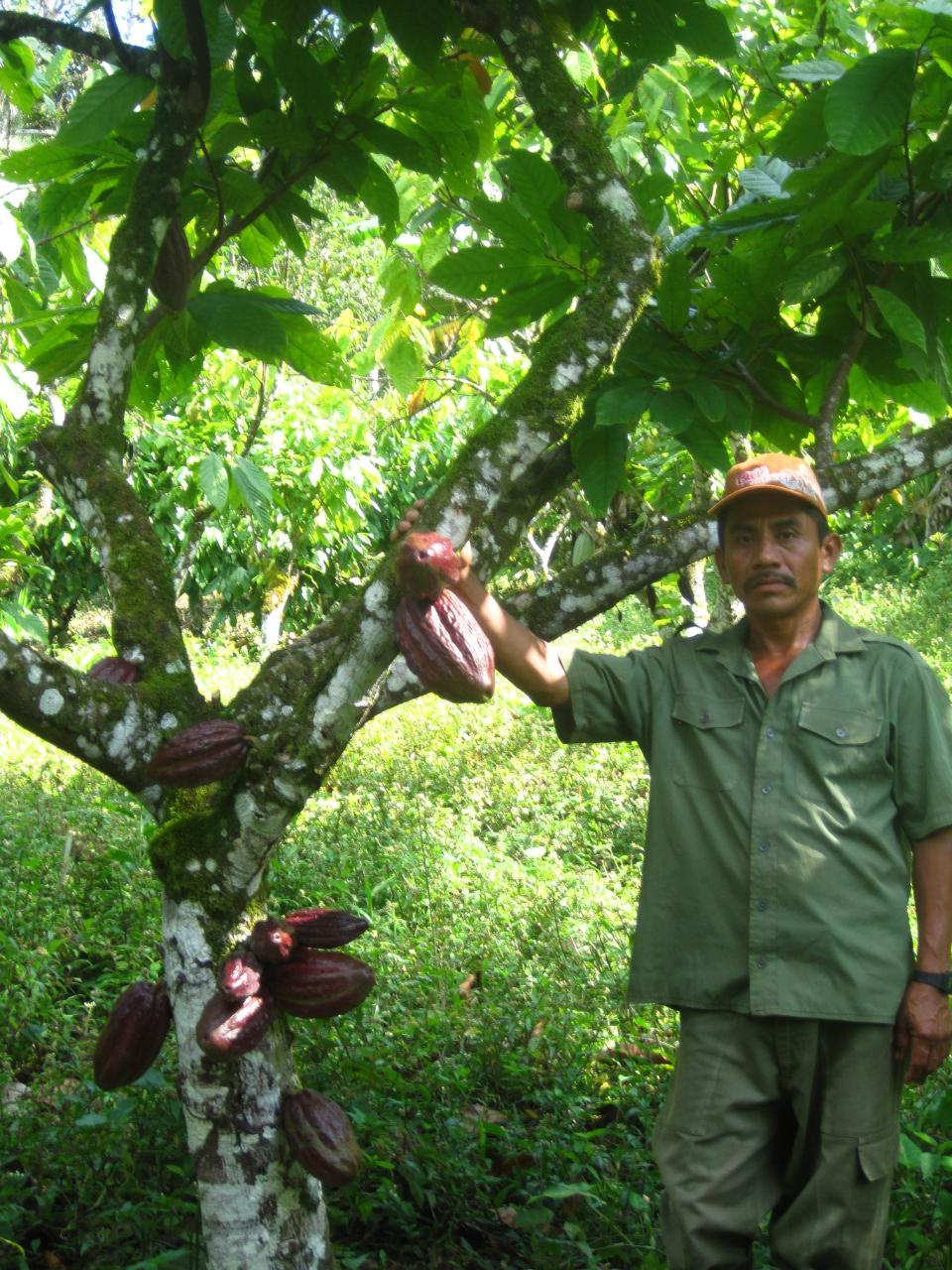 Borrower image