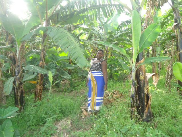 Borrower image
