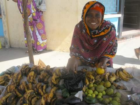 Borrower image