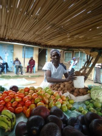 Borrower image
