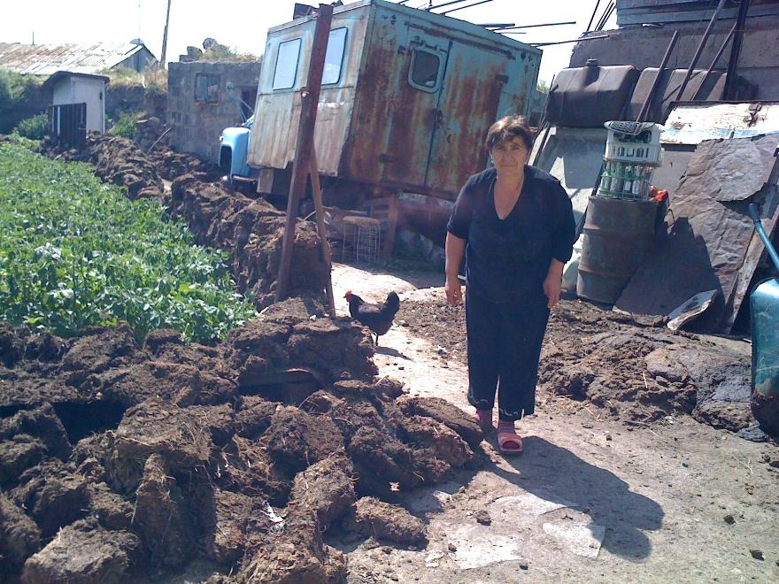 Borrower image